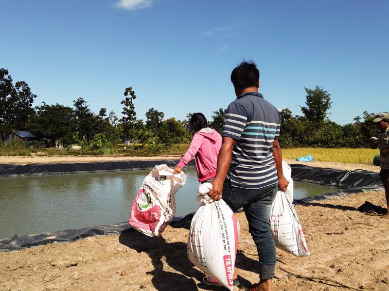 Woman Aquaculture Charity Fishfarming Kambodscha 1 Woman Aquaculture Charity Fishfarming Kambodscha 1